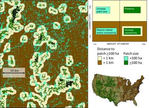 Patch Size matrix