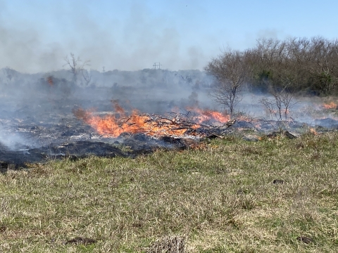 Prescribed Burn in Texas