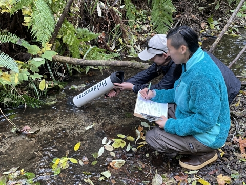 two biologists crouching next to a creek in a forest surveying a mussel bed through a large scope