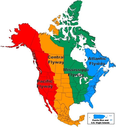 Migratory Bird Program Administrative Flyways Map