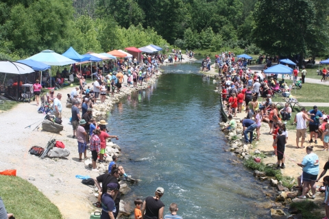 Group of people lining the banks of a stream