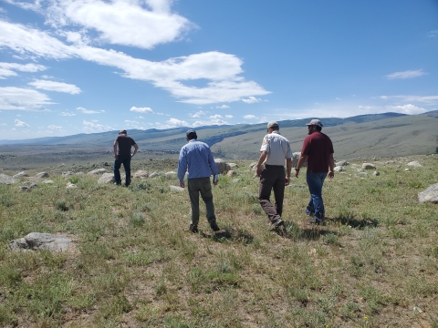 4 men walking across a grassy landscape 