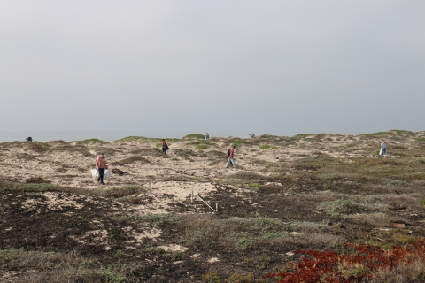 People conducting a beach cleanup