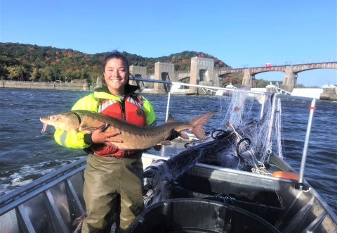 A biologist shows off lake sturgeon captured during sampling.