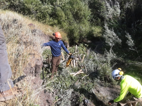 Three men wearing hard hats and working in a dry streambed. There is a pile of vegetation in the streambed with 12 wooden stakes in the middle of the pile.