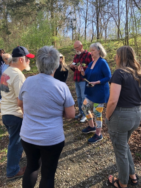 Group of people observing lichen outside