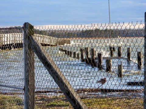 wooden boardwalks submerged in floodwaters behind a fence