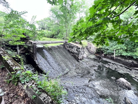 A dam blocking water passage on a creek