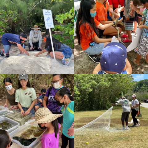 A collage that shows the events from Ritidian Day at the Guam National Wildlife Refuge 2022. The top left corner shows masked children digging in the sand. The top right shows children holding a browntree snake. The bottom left shows a group of people touching bins full of sea life. The bottom right shows two volunteers demonstrating net casting. 