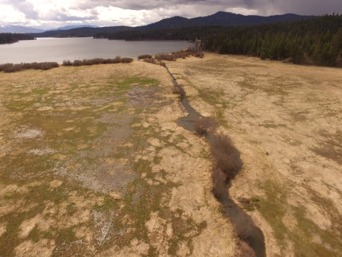 Drone footage of a creek beginning to widen and meander after the construction of a beaver dam analog.