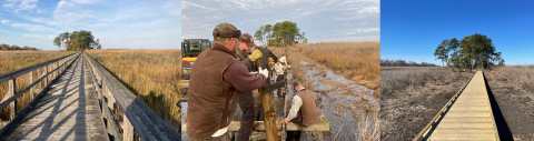 A series of three images laid side by side. first, an old decrepit boardwalk stretches across a marsh landscape. Next, a group of men work on a boardwalk construction project above shallow water. Finally, the new boardwalk stretches towards a cluster of trees towards the horizon.