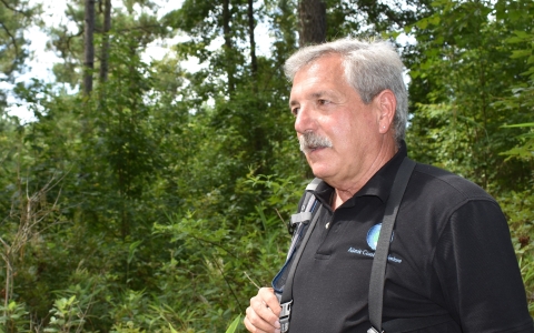 a man standing at the edge of a forest