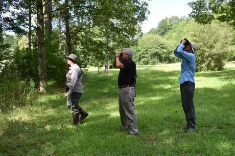 three people standing at the edge of a forest