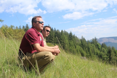 Two biologist squat in a grassy field