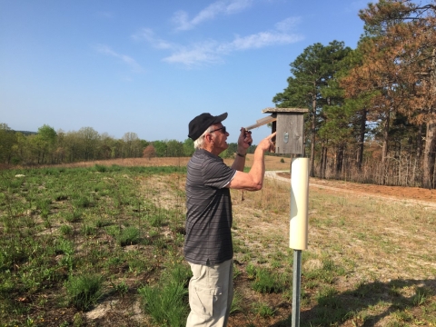 a man checking a bluebird nesting box