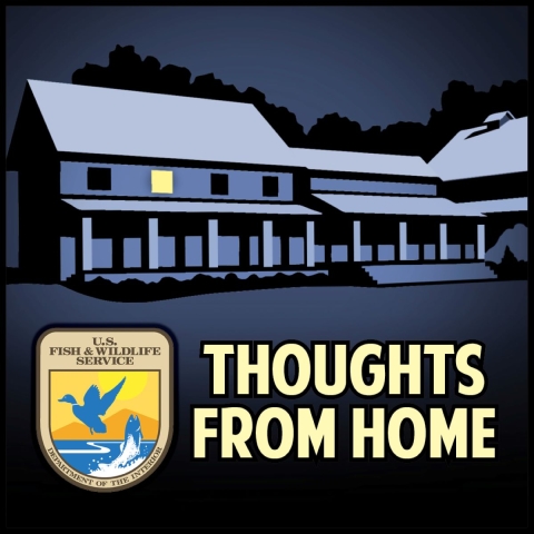 Thoughts From Home Podcast Graphic from the National Conservation Training Center