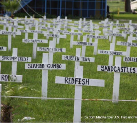 Oil protest mock graveyard in Grand Isle, LA.