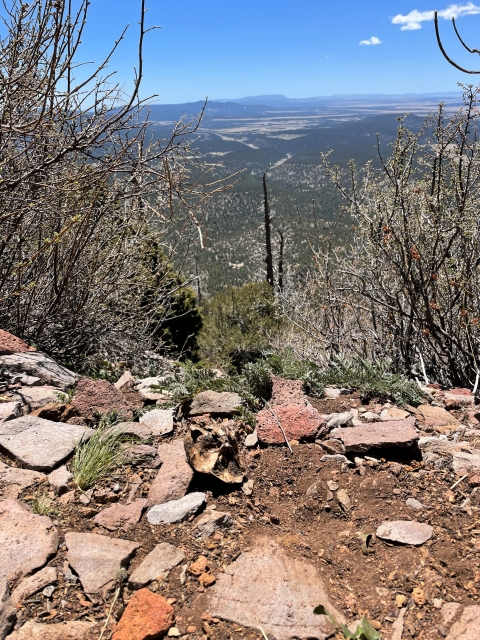 View from a wolf den with mountains in the distance