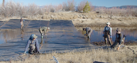 A field crew working to install benthic barriers in Taylor and Tallac creeks