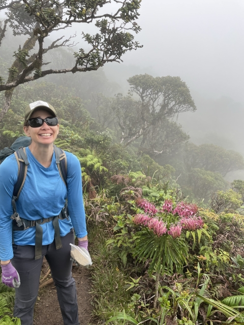 A person in a blue shirt standing next to a rare lobelia with bright pink flowers in a wet forest.