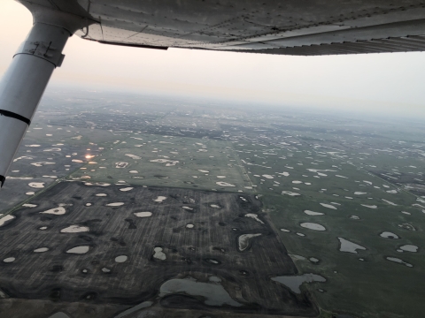 aerial of wetlands across the landscape