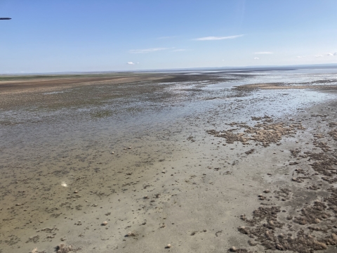 Aerial view of expansive lake