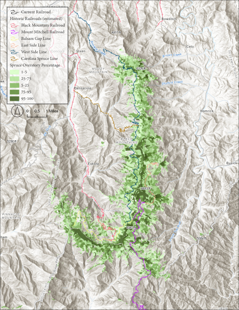 Map of North Carolina's Black Mountains showing likely historical railroad rounds and current red spruce concentrations, with red spruce occupying the largest portion of the forest canopy in patches along the ridgeline.