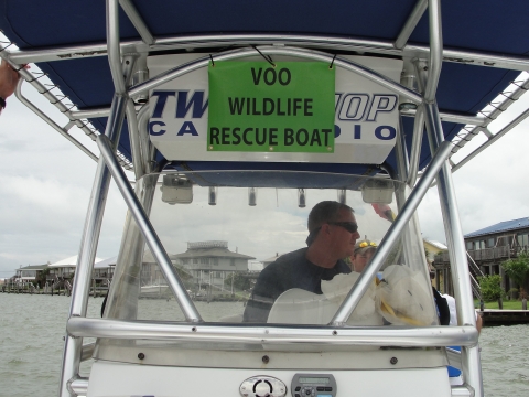 Local boat captain Jerry McCullough maneuvers his vessel off the coast of Alabama. The boat has a sign that reads "VOO Wildlife Rescue Boat".