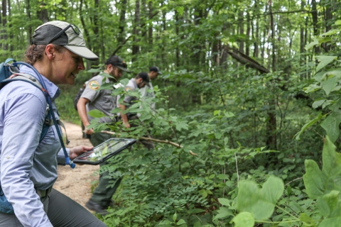 Four people lined up beside each other, on the edge of a forest