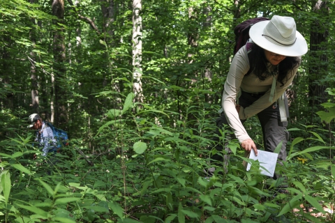 Two people standing in a forest looking at the ground