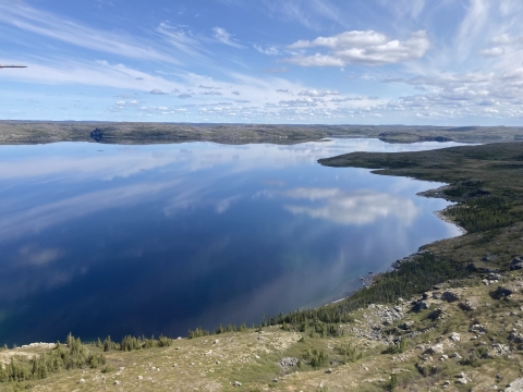 scenic landscape with forest and water with a light blue sky above