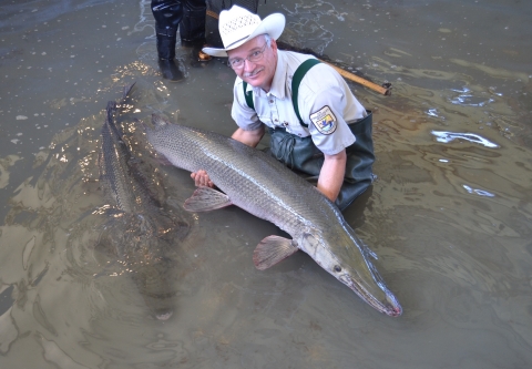 A person holding up a large fish slightly out of the water. 