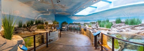 landscape view of the inside of an aviary at a zoo