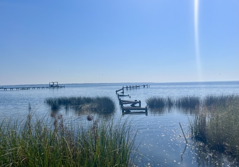 Coastal restoration site, FL