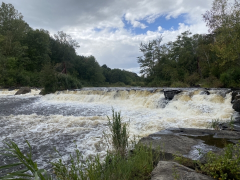 an image of a small river with small falls flowing downstream