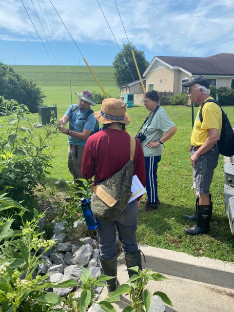 People observing plants on the edge of a basin