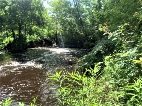 Sweetwater Creek, FL