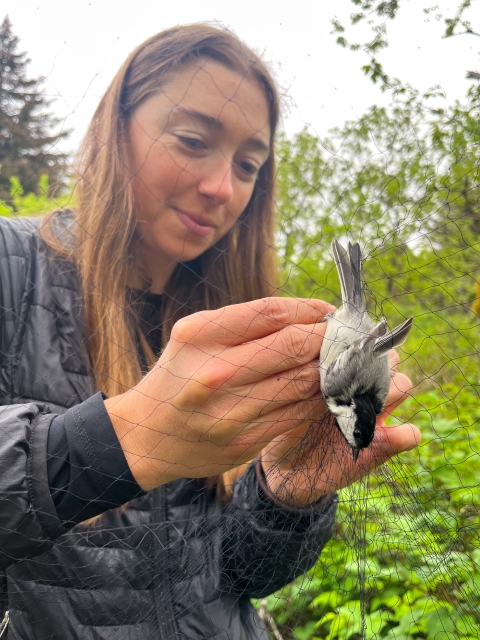 a woman untangles a small bird from a net