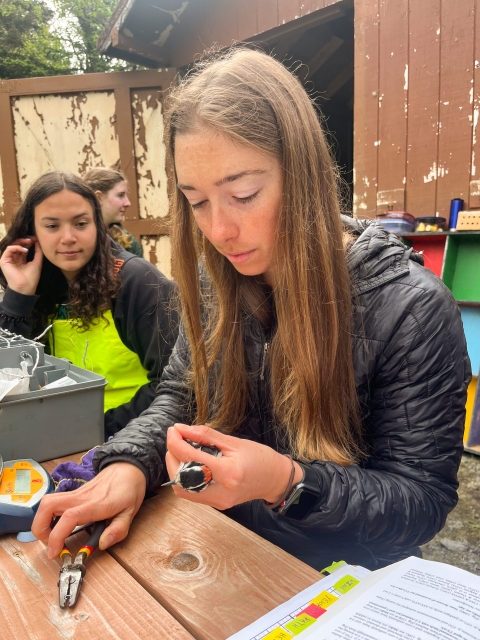 a woman banding a bird