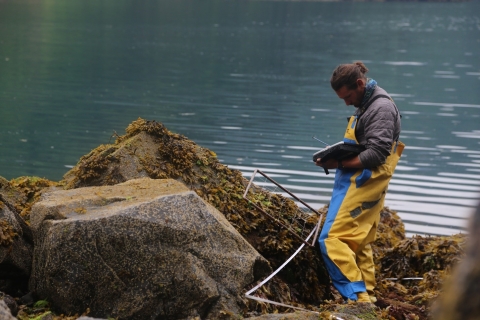 Sampling benthic cover on rocky intertidal beaches in Kenai Fjords, Alaska 