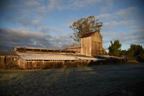 The historical McBride Beatrice Ranch Barn in a cloudy morning at Humboldt Bay National Wildlife Refuge