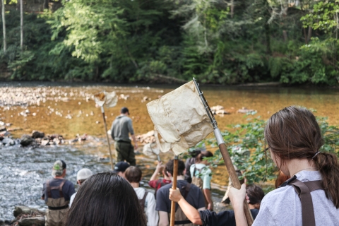 Several people walking into a river