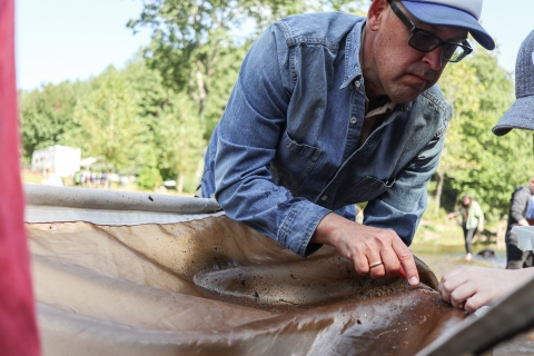 One person leaning over a kick seine, pulling aquatic insects from it