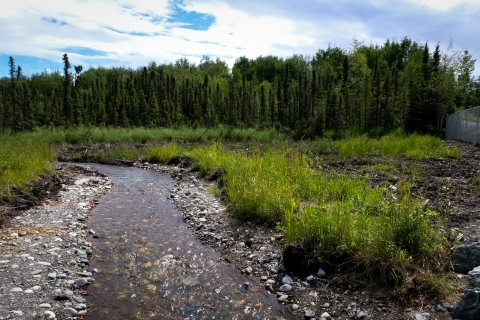 Restored streambanks near a new culvert in O'Brien Creek