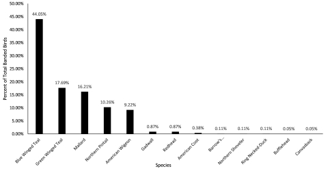 graph of waterfowl species caught.