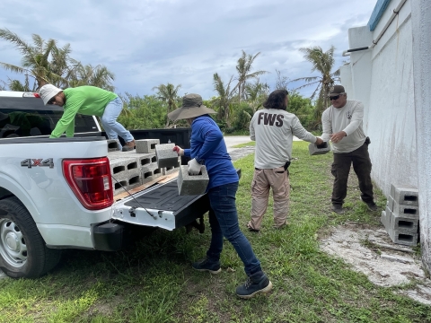 Maintenance for post-typhoon recovery