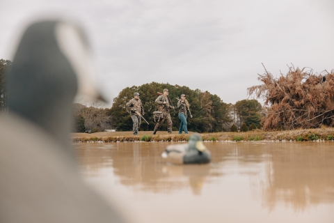 Three hunters in camouflage walk past duck decoys. 