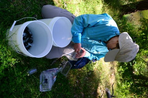 A woman kneels next to a bucket with crayfish.