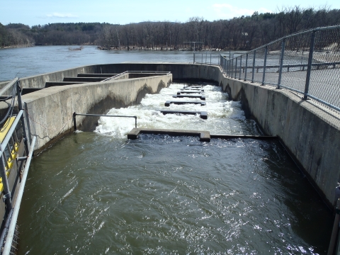 A cement structure built into the waters of a river. The structure looks like a set of steps filled with water. The ladder is in a U managing to turn a steep barrier into shallow steps. 