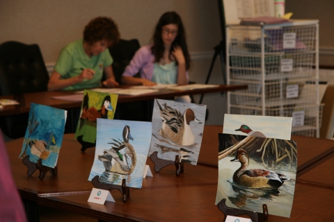 Junior Duck Stamp Contest